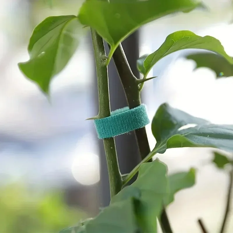 Self Adhesive Plant Nylon Cabl - Gear Tie Reusable ulasan dan harga