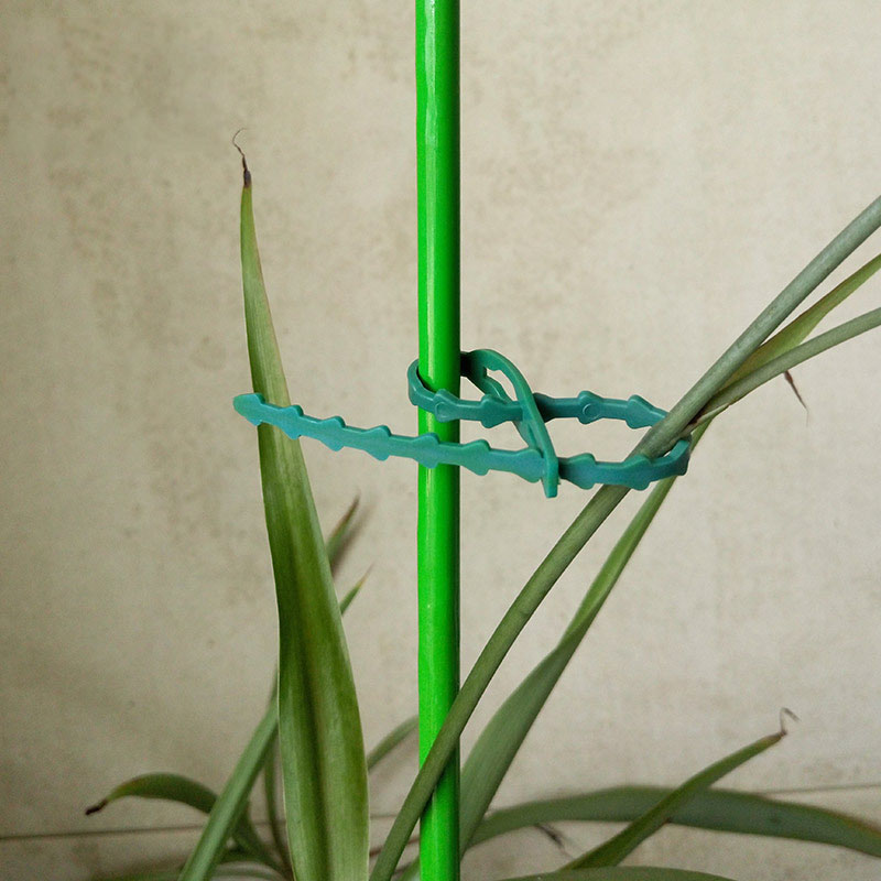 50/100Pcs Reusable Garden Cabl - Gear Tie Reusable ulasan dan harga