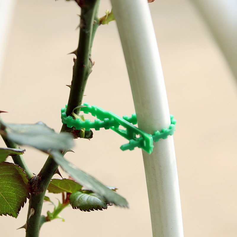 50/100Pcs Reusable Garden Cabl - Gear Tie Reusable ulasan dan harga